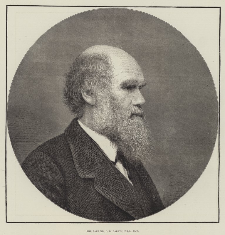 Afdøde hr. CR Darwin, FRS, LLD af English School