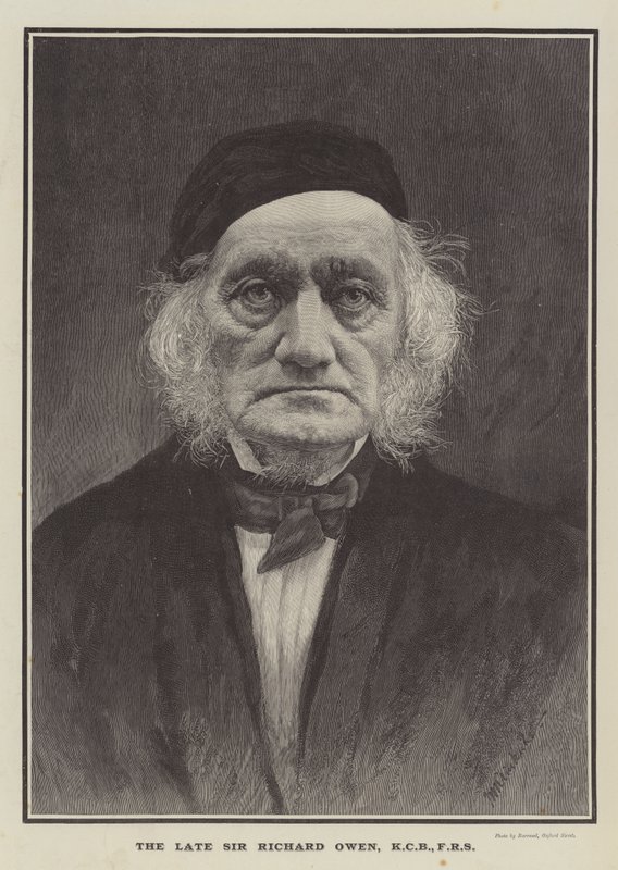 Den afdøde Sir Richard Owen, KCB, FRS (gravering) af English School
