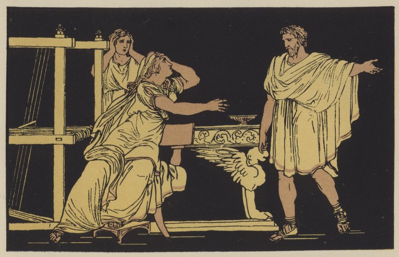 Euryalus