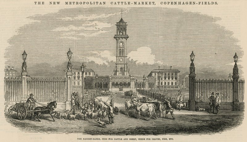 Det nye Metropolitan Kvægmarked, Copenhagen Fields af English School