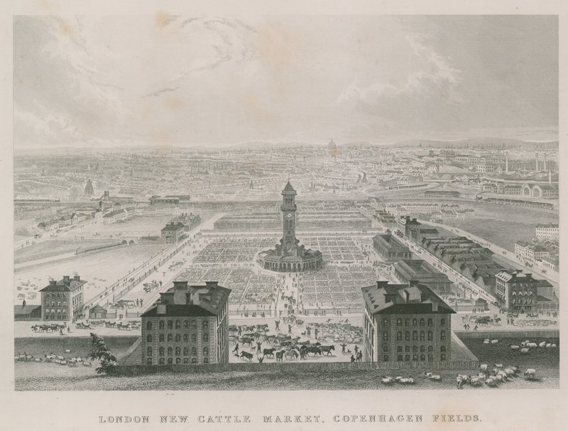 Det nye Metropolitan Cattle Market, Copenhagen Fields, London af English School