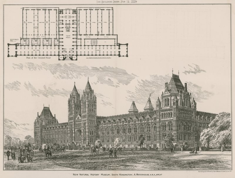 Det nye Natural History Museum, South Kensington, London af English School