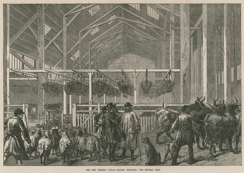 Det nye udenlandske kvægmarked, Deptford, London - det centrale stald af English School