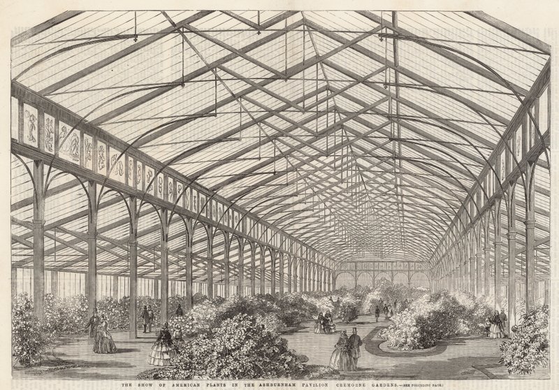 Showet af amerikanske planter i Ashburnham Pavilion, Cremorne Gardens af English School
