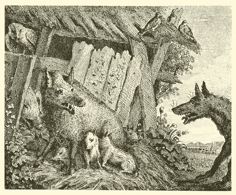 Soen og ulven (kobberstik) af English School
