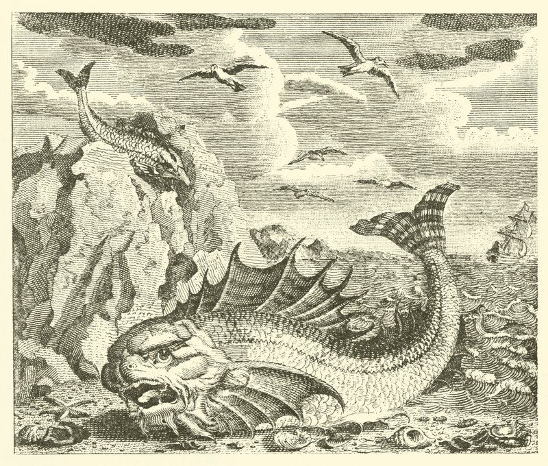 Tunfisken og delfinen (gravering) af English School
