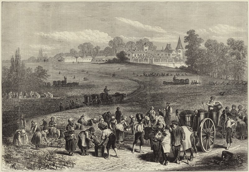 Årgangen i Medoc af English School