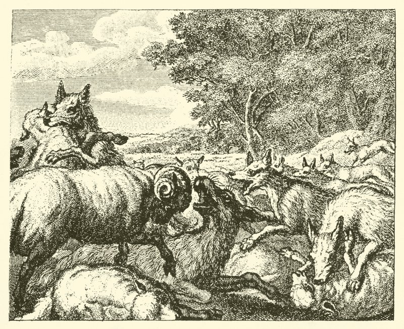 Ulvene og fårene (gravering) af English School