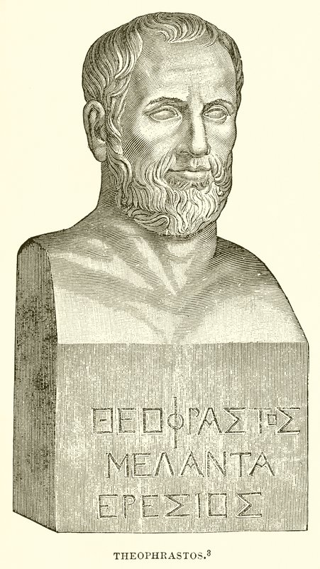 Theophrastos af English School