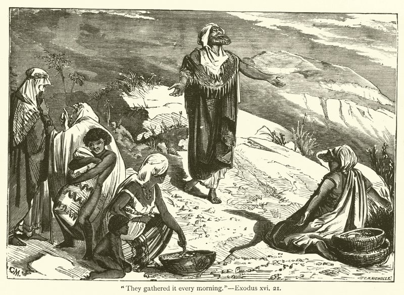 "De samlede det hver morgen", Anden Mosebog, xvi, 21 (gravering) af English School
