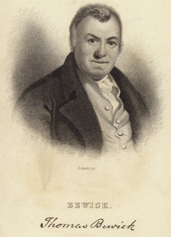 Thomas Bewick af English School