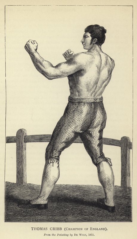 Thomas Cribb, Englands mester, Fra maleriet af De Wild, 1811 af English School