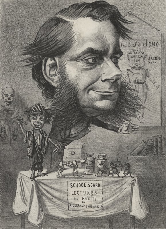 Thomas Henry Huxley, engelsk biolog af English School