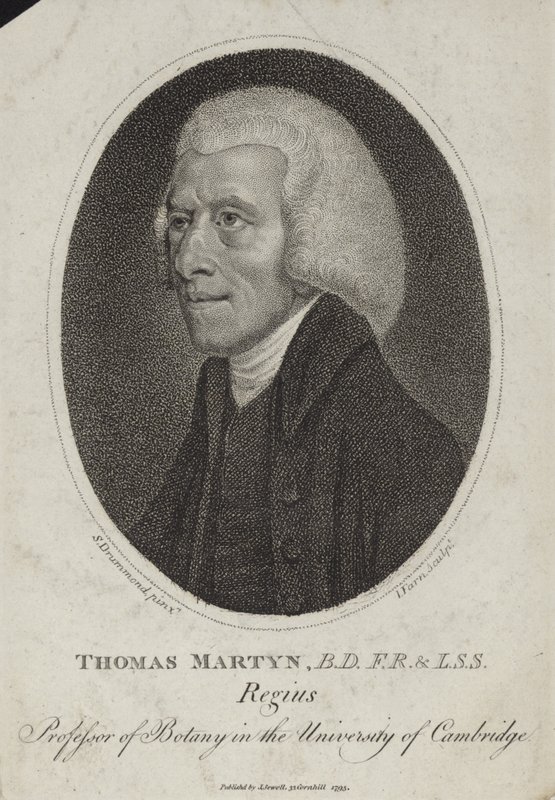Thomas Martyn af English School