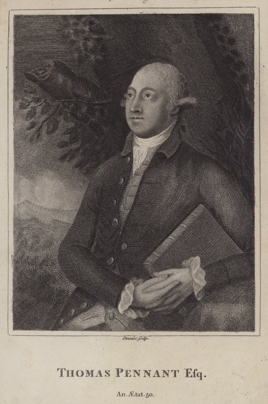 Thomas Pennant, walisisk naturforsker og topograf (gravering) af English School