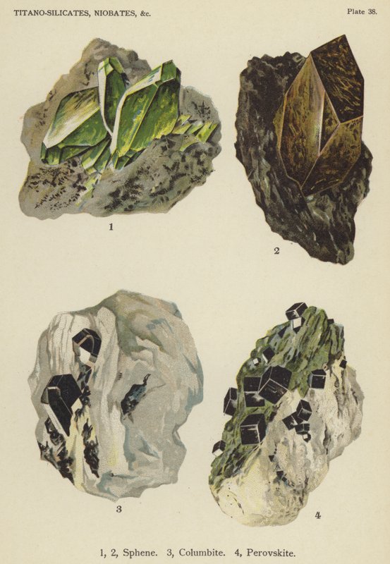 Titanosilikater, niobater, sphen, columbit, perovskit (farve litho) af English School