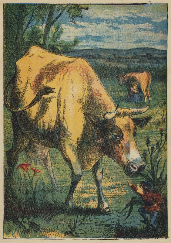 Tom Thumb and the Cow (farve litho) af English School