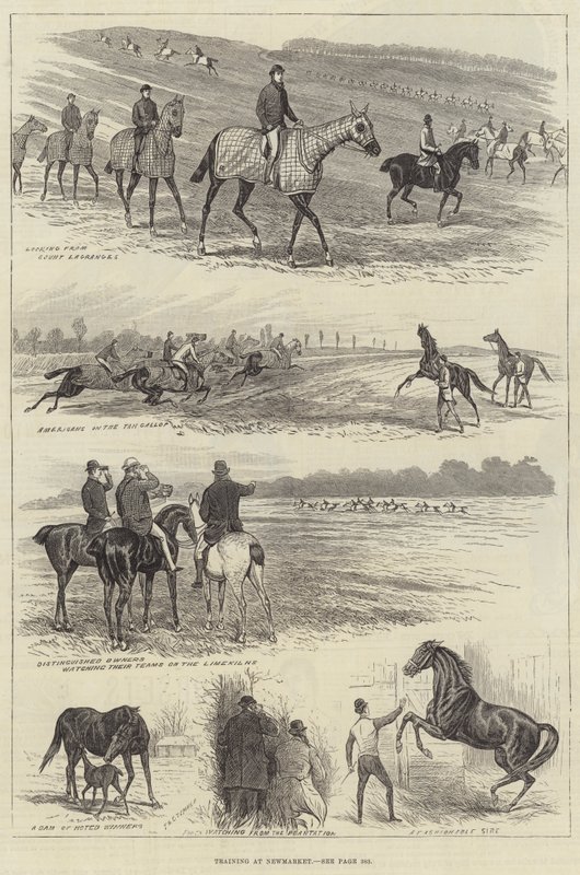 Uddannelse hos Newmarket (gravering) af English School