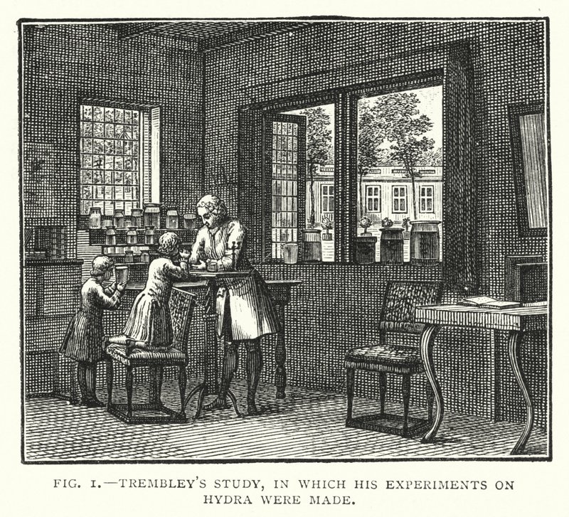 Trembleys undersøgelse, hvori hans eksperimenter med Hydra blev lavet (gravering) af English School