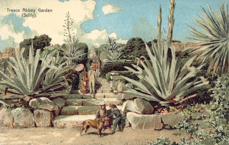 Tresco Abbey Garden, Scilly Isles, Cornwall (farve litho) af English School