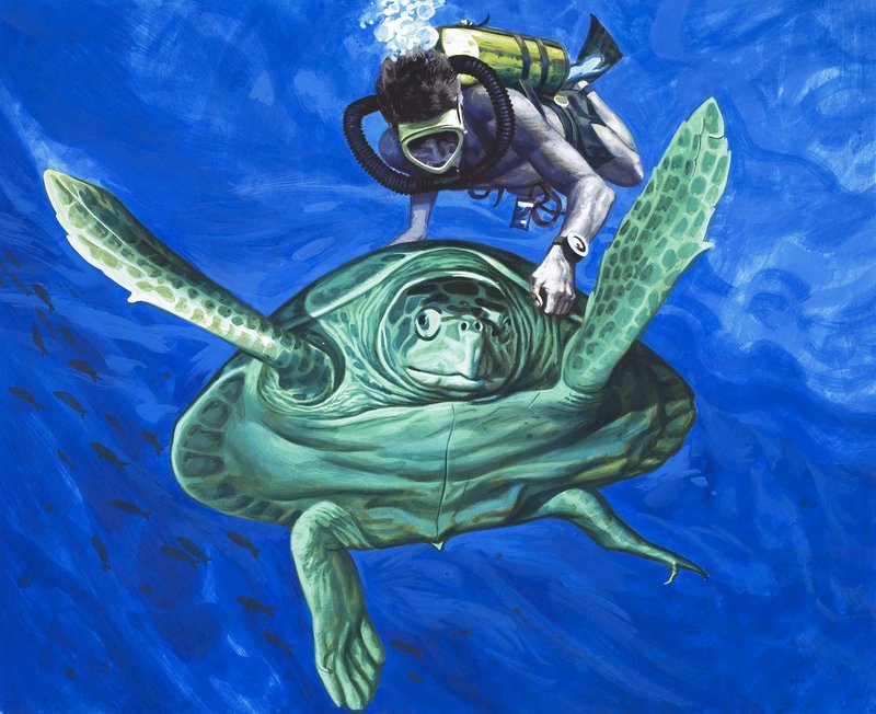 Skildpadde med dykker af English School