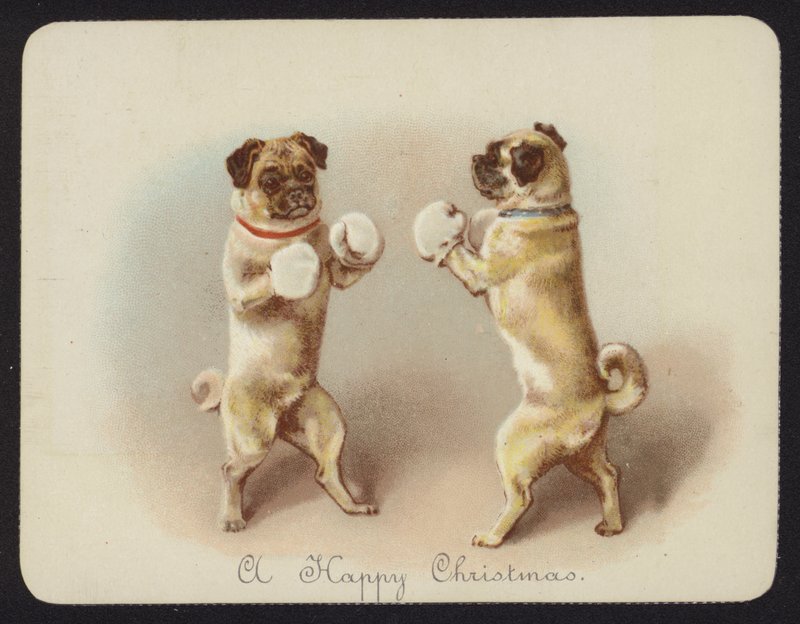 To hunde bokser (chromolitho) af English School