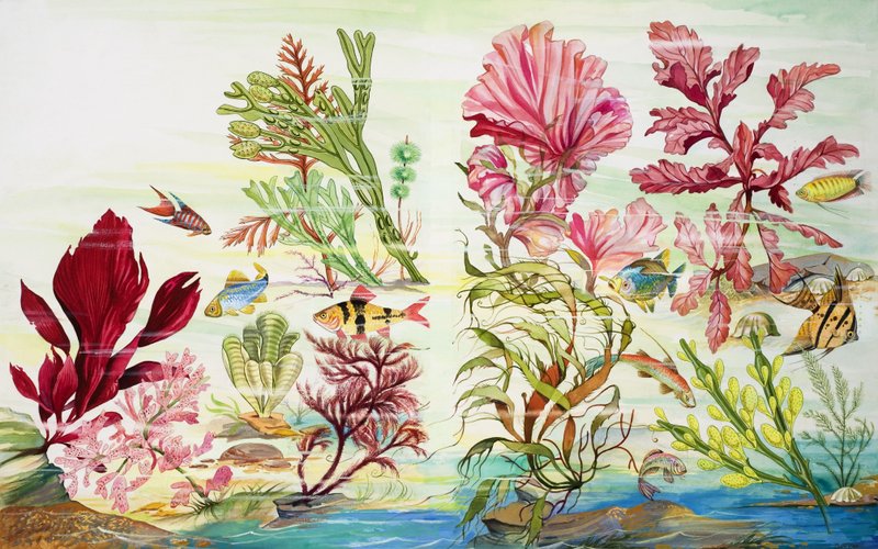 Undervandsplanter (gouache på papir) af English School