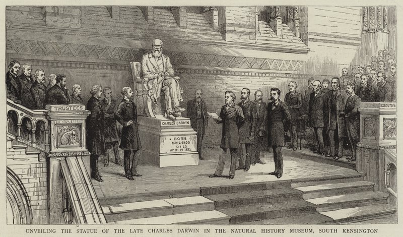 Afsløring af statuen af afdøde Charles Darwin i Natural History Museum, South Kensington af English School