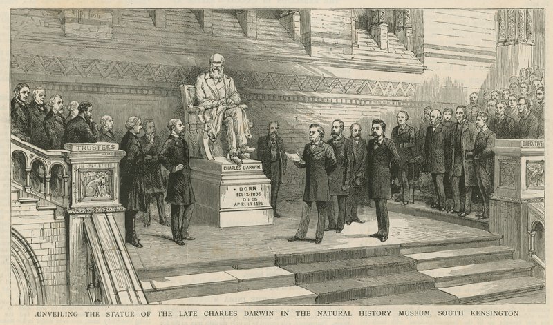Afsløring af statuen af afdøde Charles Darwin i Natural History Museum, South Kensington af English School
