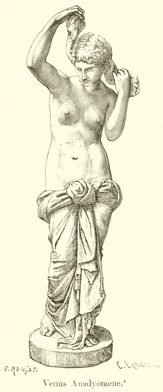 Venus Anadyomene af English School