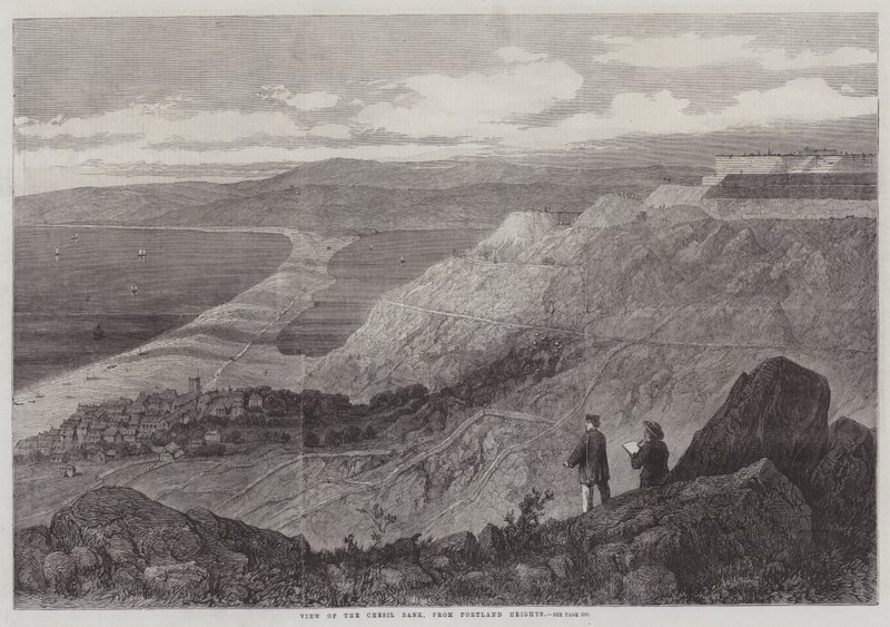 Udsigt over Chesil Bank, fra Portland Heights (gravering) af English School