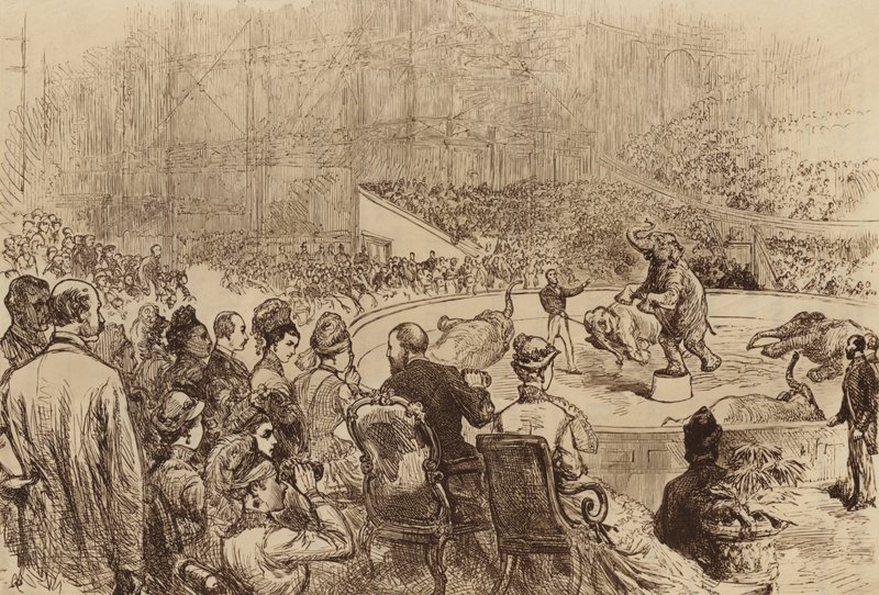 Besøg af prinsen og prinsessen af Wales og kongen og dronningen af Grækenland, 1876 af English School