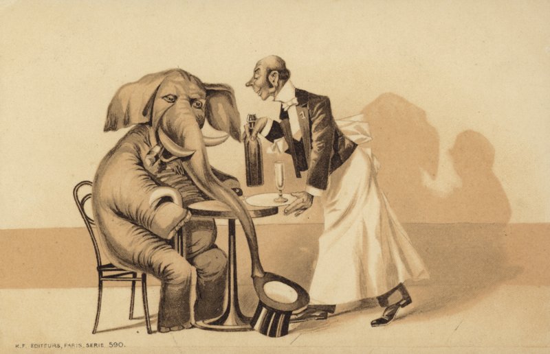 Tjeneren serverer en elefant af English School