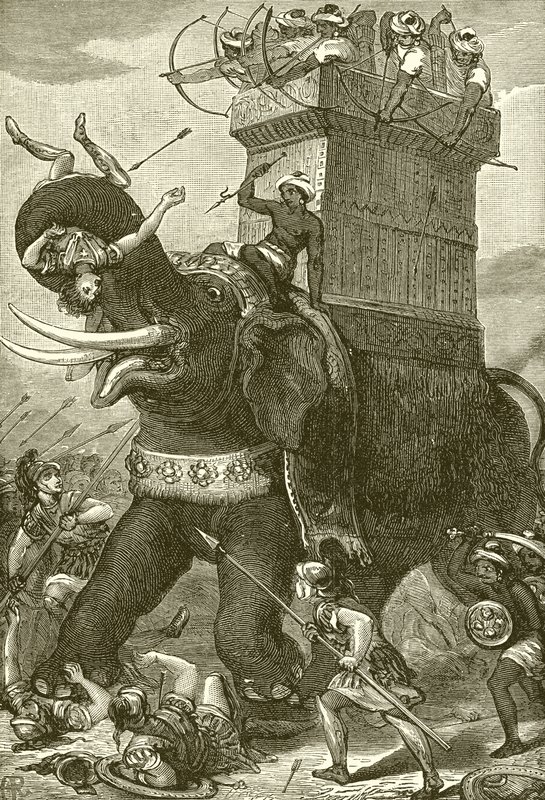 Krigselefant i kong Darius