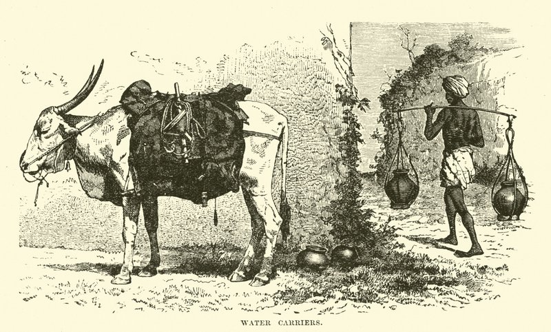 Water carriers  af English School