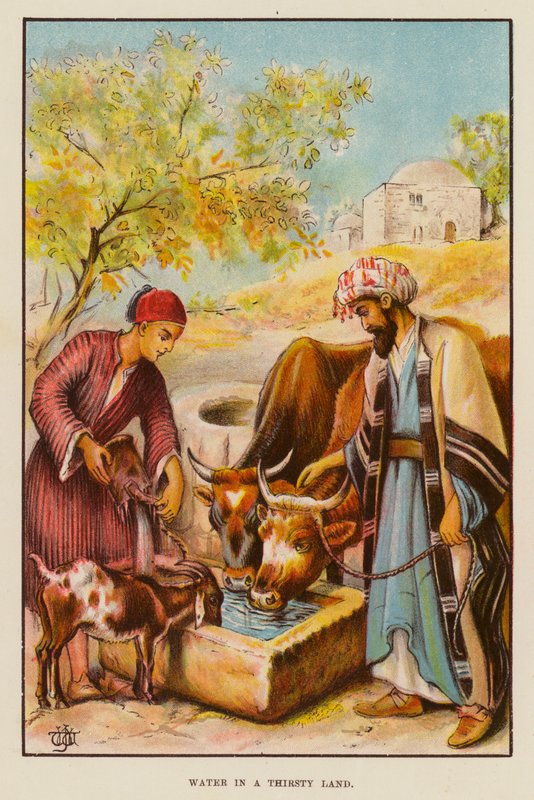 Vand i et tørstigt land (farve litho) af English School
