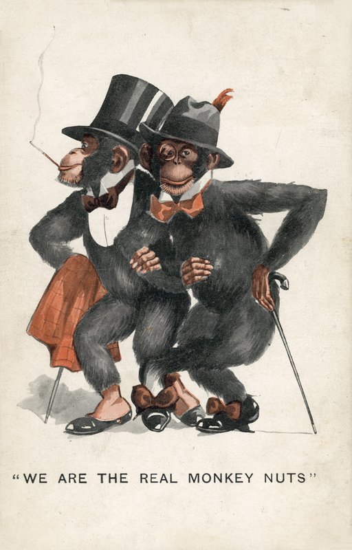 Vi er de ægte Monkey Nuts (farve litho) af English School