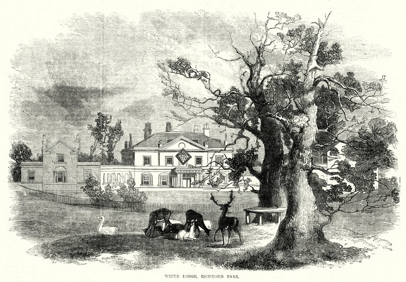 White Lodge, Richmond Park (gravering) af English School