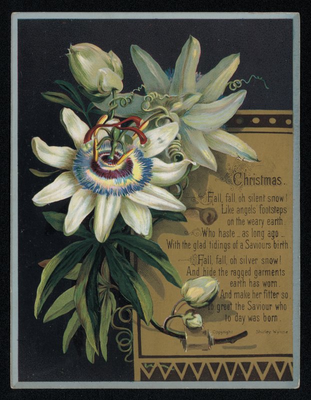 Hvid passionsblomst, julehilsenskort. (chromolitho) af English School