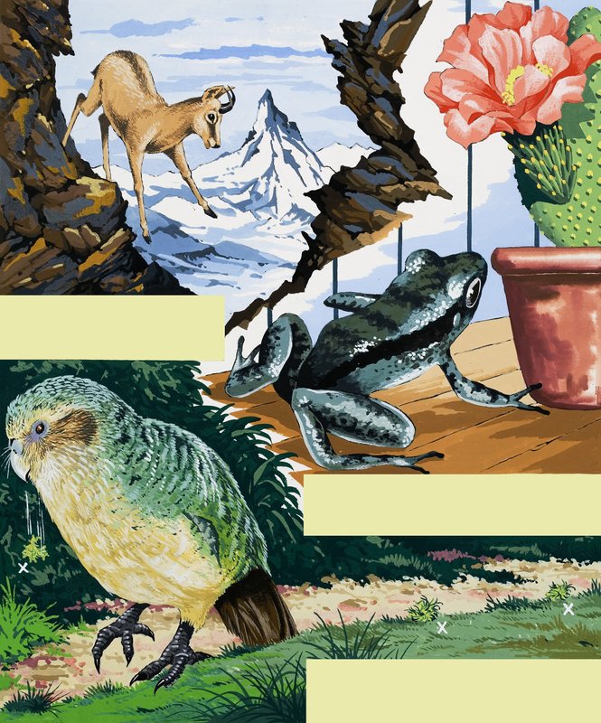 Wildlife montage af English School