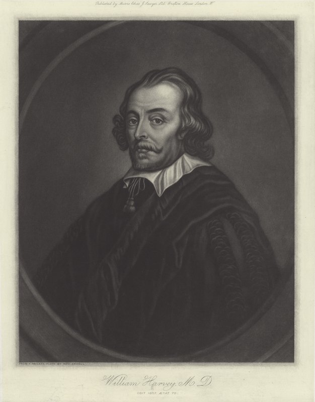 William Harvey, engelsk læge af English School
