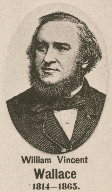 William Vincent Wallace (dybtryk) af English School