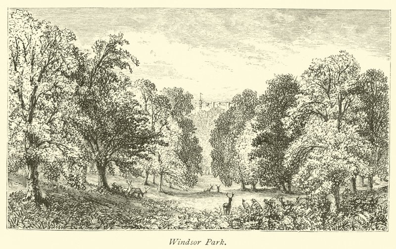 Windsor Park af English School