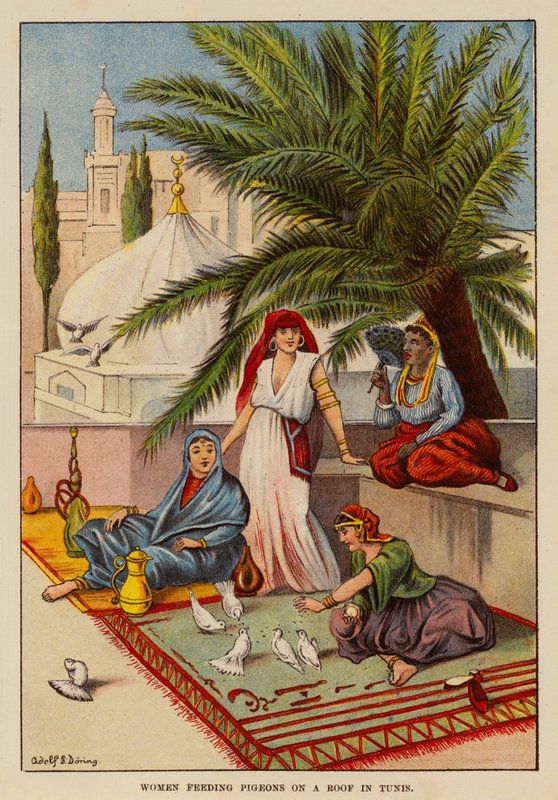 Kvinder fodrer duer på et tag i Tunis (farvelitografi) af English School