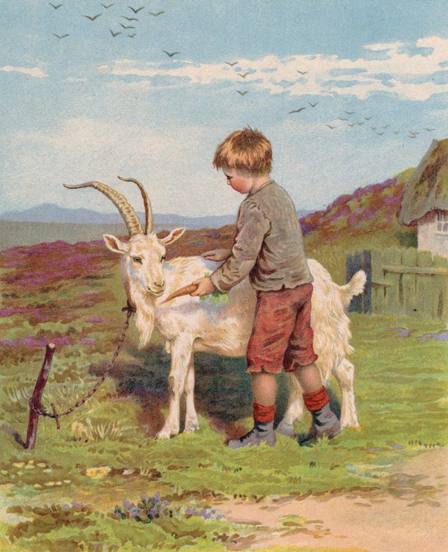 Ung dreng fodrer en gulerod til en buk på en gård (chromolitho) af English School