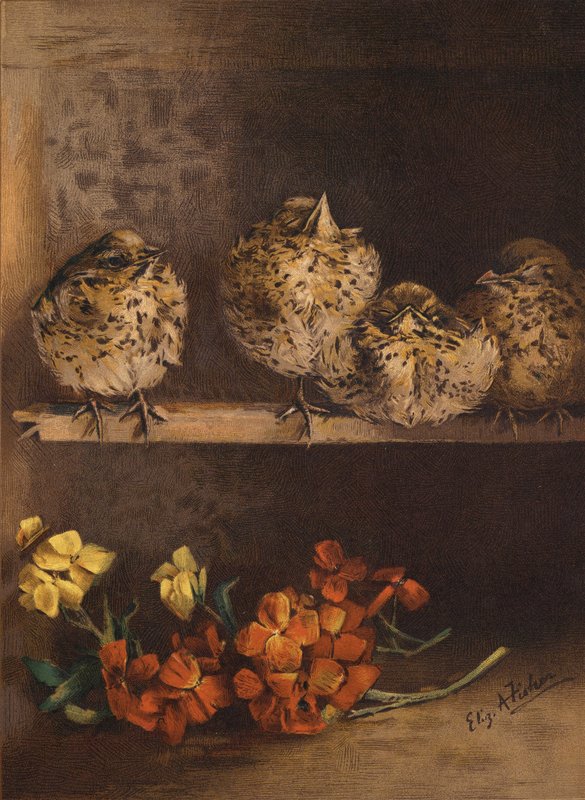 Unge kyllinger og blomster (chromolitho) af English School