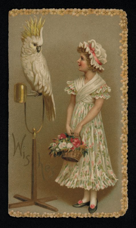 Ung kvinde med en hvid kakadue, lykønskningskort. (chromolitho) af English School