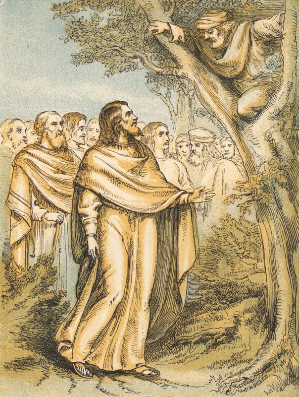 Zacchaeus (farvet gravering) af English School