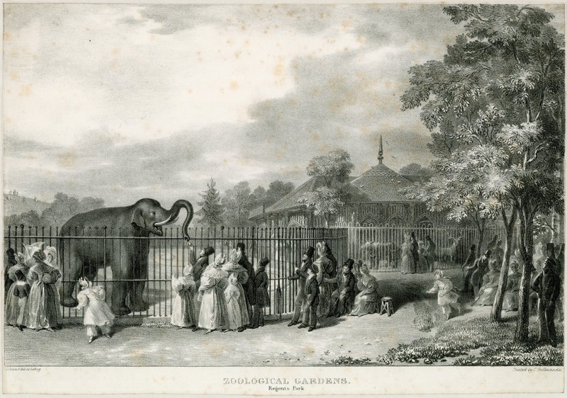 Zoologisk have, Regents Park af English School