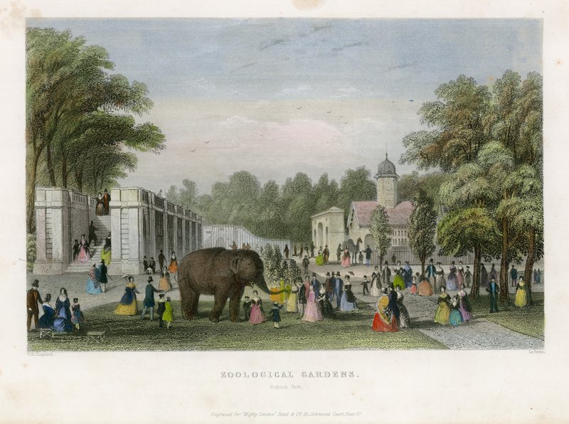 Zoologisk have, Regents Park af English School